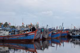 Tàu thuyền đang neo trú tại Cảng cá Tịnh Hòa (xã Đông Sơn, tỉnh Quảng Ngãi). Ảnh: baovanhoa.vn