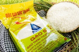 Gạo ST25 của Việt Nam lần thứ ba vinh danh gạo ngon nhất thế giới