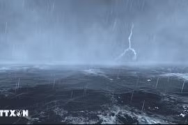 Các tỉnh, thành phố từ Quảng Ninh đến Phú Yên chủ động ứng phó áp thấp nhiệt đới