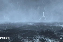 Các tỉnh, thành phố từ Quảng Ninh đến Phú Yên chủ động ứng phó áp thấp nhiệt đới