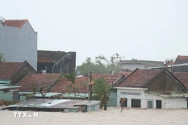 Mưa lũ miền Trung-Tây Nguyên: 55 người chết, thiệt hại hơn 8.980 tỷ đồng