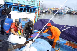 Ngư dân Bình Định khẩn trương sửa chữa tàu thuyền sau bão số 13, chuẩn bị vươn khơi bám biển trở lại.