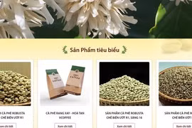 Giá cà phê hôm nay 7-4: 'Bí kíp' giúp công ty cà phê lãi gấp 10 lần