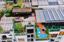 Chi tiền tỉ để trồng rau, nuôi cá trên sân thượng ở tầng 30