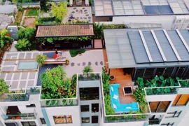 Chi tiền tỉ để trồng rau, nuôi cá trên sân thượng ở tầng 30