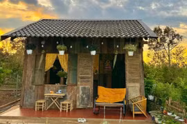 Cô gái xinh đẹp và cuộc sống trong căn nhà gỗ với vườn rau xanh