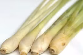 Thảo dược trị cảm cúm