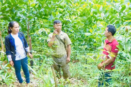 Người dân Hà Đông đổi đời nhờ thay đổi nếp nghĩ, cách làm