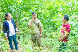 Người dân Hà Đông đổi đời nhờ thay đổi nếp nghĩ, cách làm
