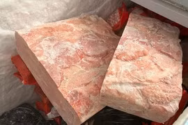 Điều đáng sợ bên trong một kho đông lạnh ở Bình Dương