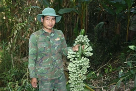 Cuối năm lên núi săn “đặc sản”