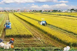 Bộ Tài chính đề xuất miễn, giảm tiền thuê đất cho dự án nông nghiệp