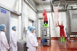 Khuyến khích đầu tư xây dựng cơ sở giết mổ động vật tập trung