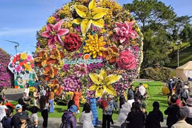 Ngắm bó hoa nặng 10 tấn, lập kỷ lục Việt Nam tại Đà Lạt