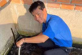 Chàng trai 'cần cù bù vốn' kiếm tiền tỉ nhờ rắn ri cá