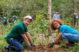 Sự kết hợp không thể thiếu