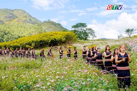 Toàn cảnh Gia Lai 24h: Quảng bá hình ảnh “Đại ngàn chạm biển xanh” tại VITM 2026