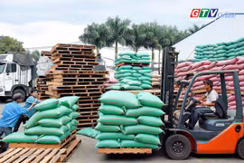 Điểm tin trưa: Gia Lai có 2 doanh nghiệp trong top xuất khẩu cà phê hàng đầu