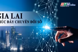 Toàn cảnh Gia Lai 24h: Thúc đẩy chuyển đổi số, hoàn thành gần 55% nhiệm vụ quý I - 2026