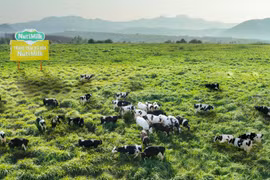 Điểm tin trưa: Gia Lai tháo “nút thắt” cho các dự án nông nghiệp, chăn nuôi quy mô lớn