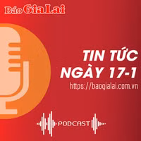 Tin tức sáng 17-1: Lộ diện người giả mạo quyết định giao 392 ha đất trồng rừng của UBND tỉnh Gia Lai