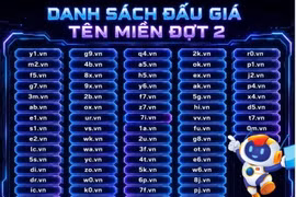 Danh sách các tên miền .vn hai ký tự chuẩn bị bước vào phiên đấu giá.