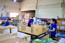 Công đoàn tỉnh Gia Lai tập trung phát triển đoàn viên và chăm lo đời sống người lao động