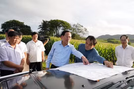 Chủ tịch UBND tỉnh Phạm Anh Tuấn khảo sát khu vực dự kiến quy hoạch khu trung tâm hành chính mới xã Cửu An tại thôn An Điền Bắc.