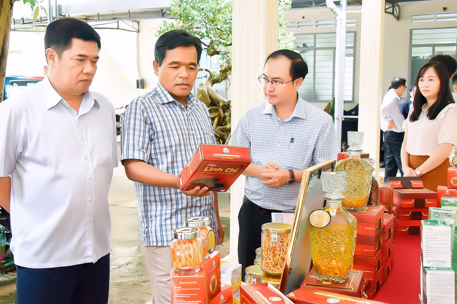 Ủy viên Ban Chấp hành Trung ương Đảng, Bí thư Tỉnh ủy, Chủ tịch HĐND tỉnh Hồ Văn Niên (thứ 2 từ trái sang) cùng các đại biểu tham quan khu trưng bày một số sản phẩm OCOP của tỉnh. Ảnh: Đức Thụy