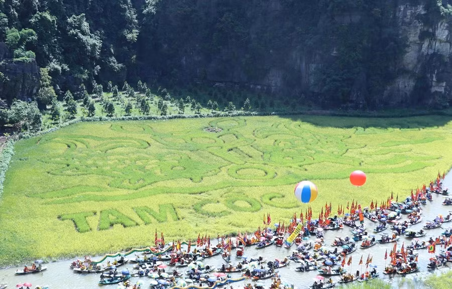 Bức tranh “Lý ngư vọng nguyệt” được tạo nên bằng những cây lúa là điểm nhấn của Tuần lễ du lịch. (Ảnh: Đức Phương/TTXVN)