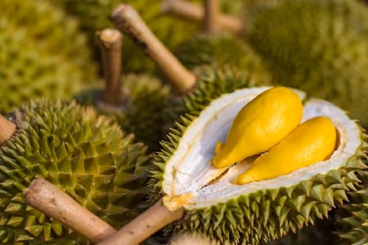 Vỏ quả sầu riêng có tác dụng gì?