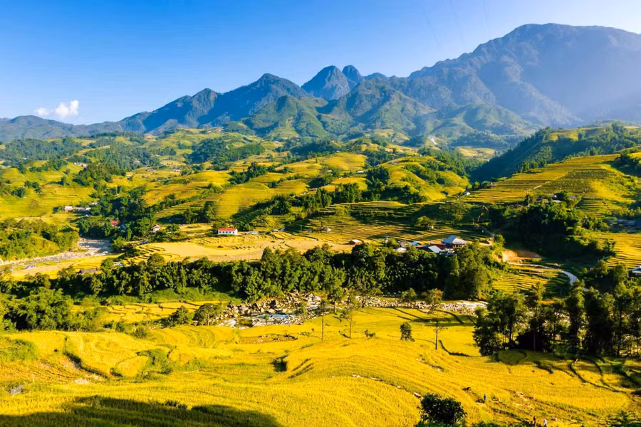Vẻ đẹp quyến rũ của Sa Pa mùa lúa chín. Ảnh: Hiếu Legend Vẻ đẹp quyến rũ của Sa Pa mùa lúa chín. Ảnh: Hiếu Legend