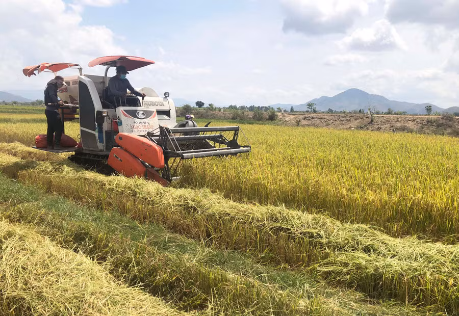 Gia Lai hướng đến sản xuất nông nghiệp sinh thái, hiện đại, thông minh. Ảnh: Lê Nam