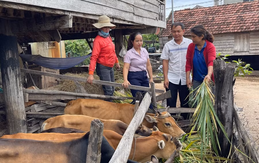 Hộ nghèo không có đất sản xuất được vay vốn để hỗ trợ chuyển đổi nghề tạo sinh kế bền vững. Ảnh: Sơn Ca