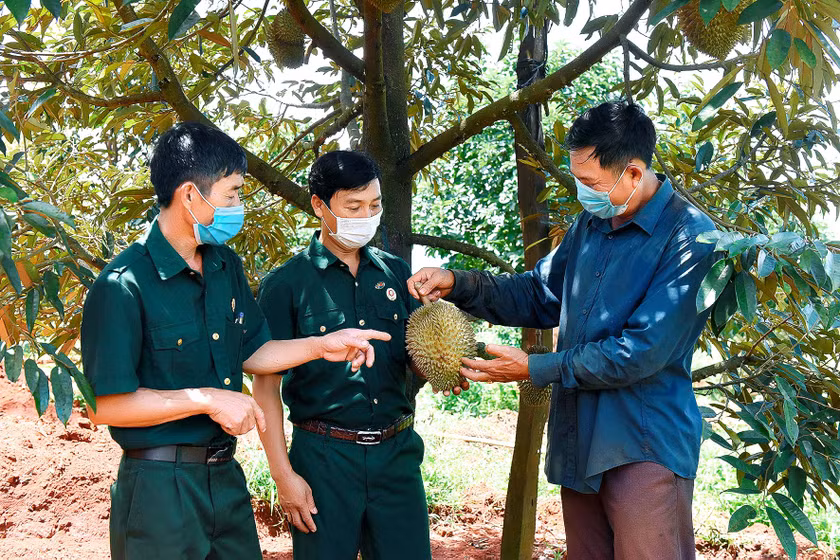 Nhiều CCB là tấm gương sáng về phát triển kinh tế và hết lòng vì đồng đội. Ảnh: Đ.T