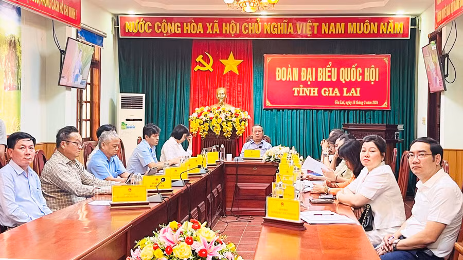 Quang cảnh phiên họp tại điểm cầu tỉnh Gia Lai. Ảnh: Trần Dung
