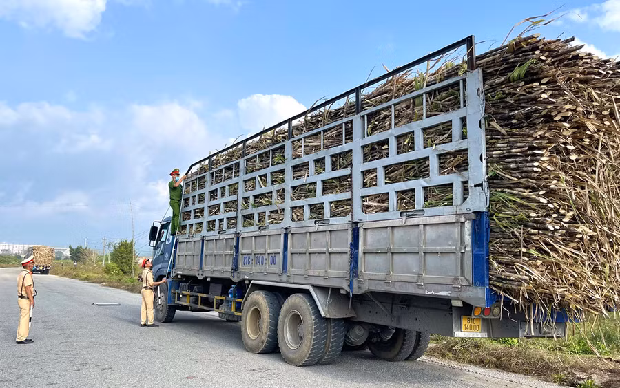 Lực lượng Cảnh sát Giao thông Công an thị xã An Khê kiểm tra kích thước thành thùng xe chở mía. Ảnh: Minh Triều Lực lượng Cảnh sát Giao thông Công an thị xã An Khê kiểm tra kích thước thành thùng xe chở mía. Ảnh: Minh Triều