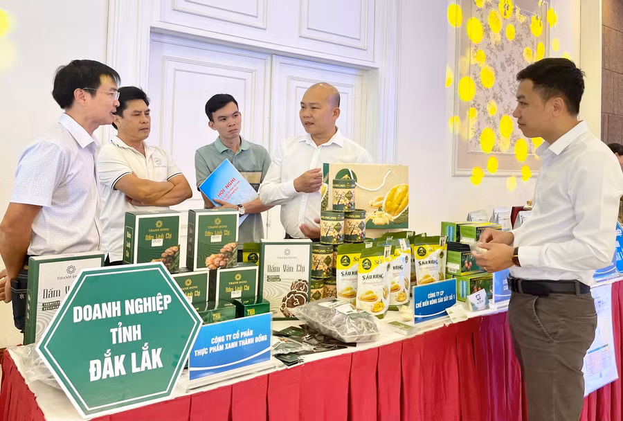 Các tỉnh Tây Nguyên có tiềm năng, thế mạnh trở thành vùng sản xuất một số nông sản chủ lực quy mô lớn. Ảnh: V.T