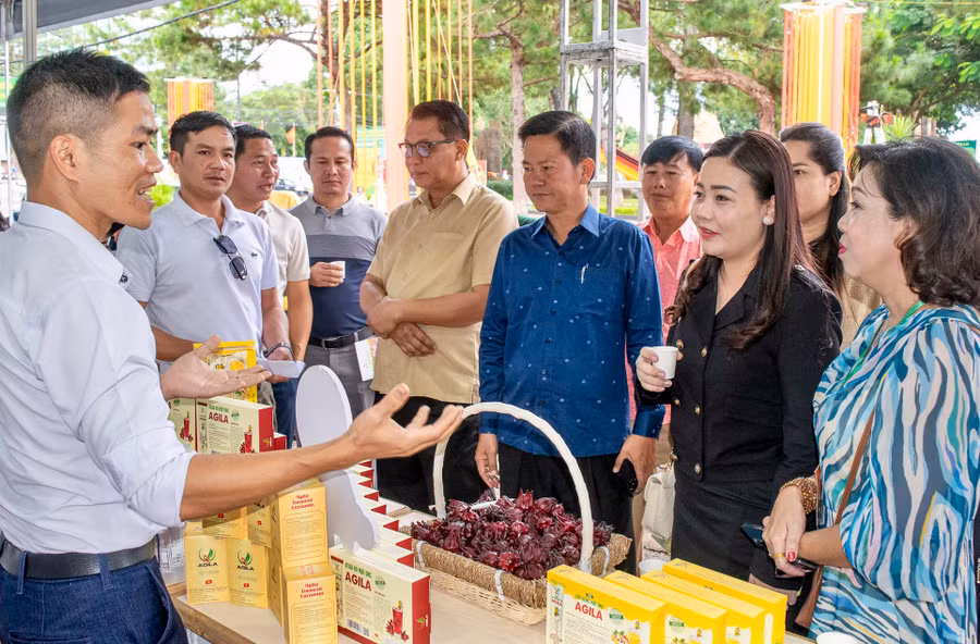 Hội nghị giao thương xúc tiến xuất khẩu hàng hóa khu vực Tây Nguyên với doanh nghiệp nước ngoài năm 2023 đã mang đến nhiều cơ hội mở rộng thị trường cho các doanh nghiệp. Ảnh: V.T