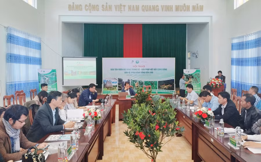 Quang cảnh Hội thảo. Ảnh: Minh Ngân Quang cảnh Hội thảo. Ảnh: Minh Ngân