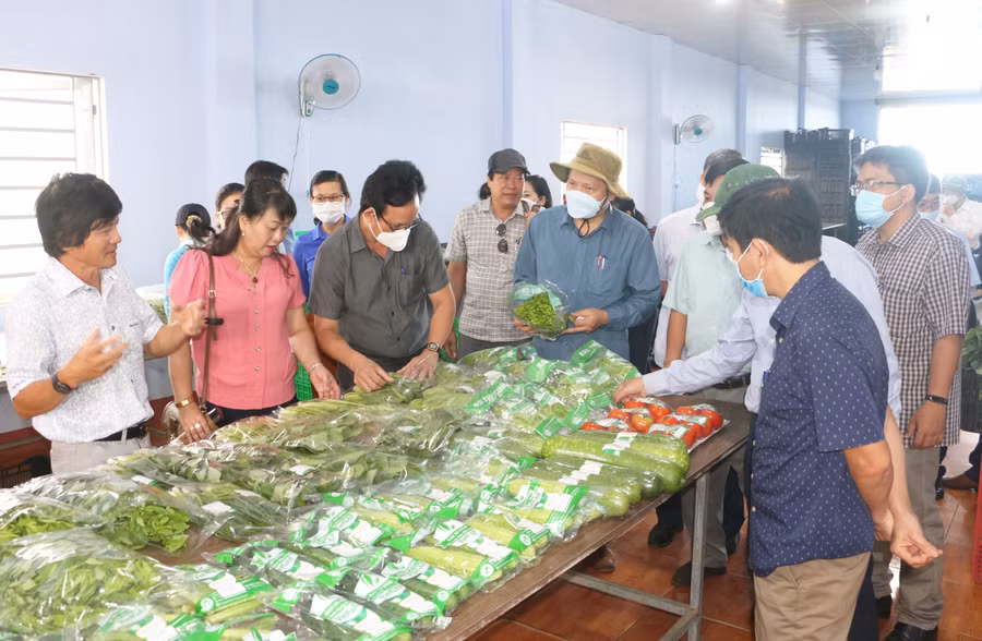 Bức tranh kinh tế-xã hội TP. Pleiku có nhiều khởi sắc trong năm 2023. Ảnh: Q.T Bức tranh kinh tế-xã hội TP. Pleiku có nhiều khởi sắc trong năm 2023. Ảnh: Q.T