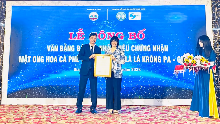 Phó Chủ tịch UBND tỉnh Nguyễn Thị Thanh Lịch đón nhận văn bằng bảo hộ cho sản phẩm “Mật ong hoa cà phê Gia Lai” và “Thuốc lá lá Krông Pa-Gia Lai”. Ảnh: T.D