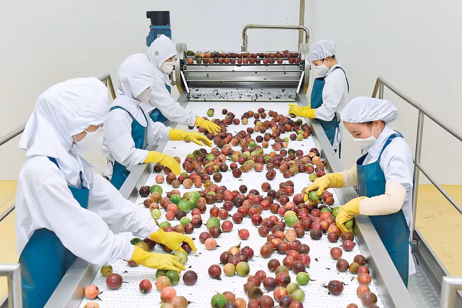 Công nghiệp chế biến đóng vai trò chủ đạo, tạo ra giá trị gia tăng lớn nhất cho khu vực công nghiệp. Ảnh: Đ.T