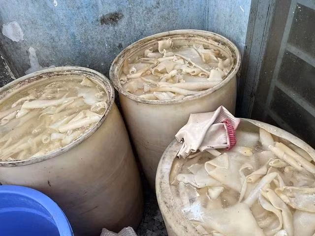 Hàng tấn bì heo ngâm tẩy trắng trước khi mang đi thái sợi