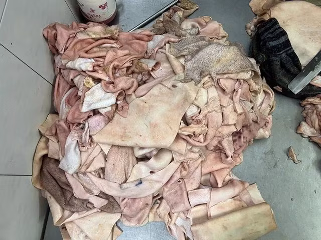 Da heo đã chuyển màu, biến sắc lẫn lộn trong đống da heo đang được chế biến Da heo đã chuyển màu, biến sắc lẫn lộn trong đống da heo đang được chế biến