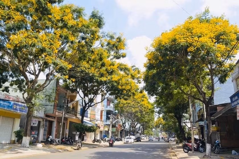 Đường phố Pleiku rợp bóng cây xanh. Ảnh: Nguyễn Thị Diễm Đường phố Pleiku rợp bóng cây xanh. Ảnh: Nguyễn Thị Diễm