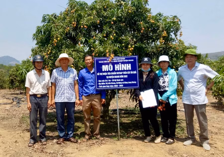 Mô hình hỗ trợ chứng nhận tiêu chuẩn VietGAP trên cây ăn quả tại thị trấn Kbang. Ảnh: L.N Mô hình hỗ trợ chứng nhận tiêu chuẩn VietGAP trên cây ăn quả tại thị trấn Kbang. Ảnh: L.N