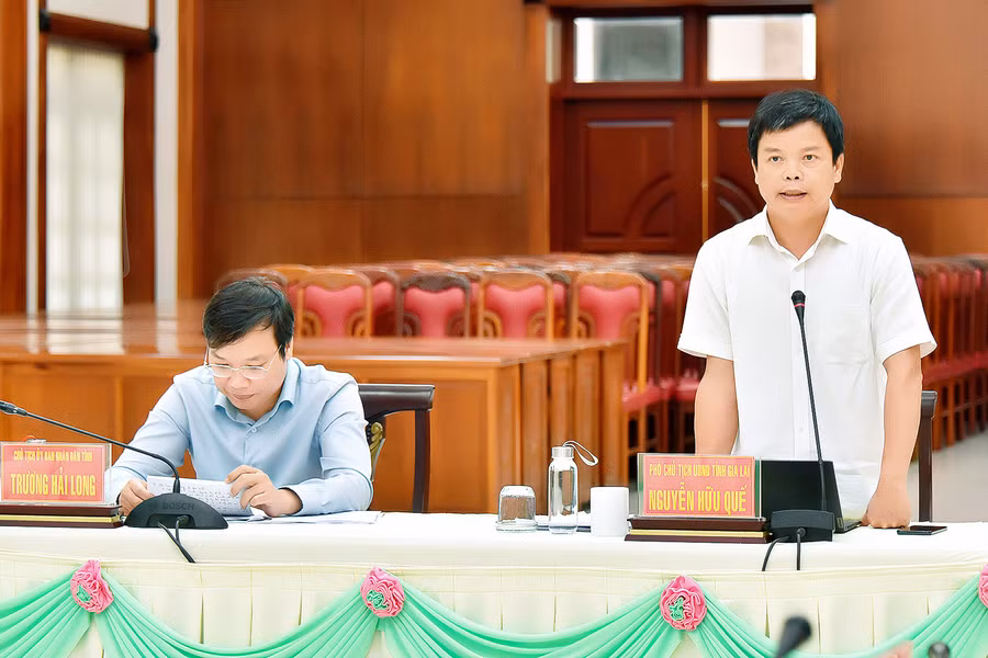 Phó Chủ tịch UBND tỉnh Nguyễn Hữu Quế phát biểu tại hội nghị. Ảnh: Đức Thụy