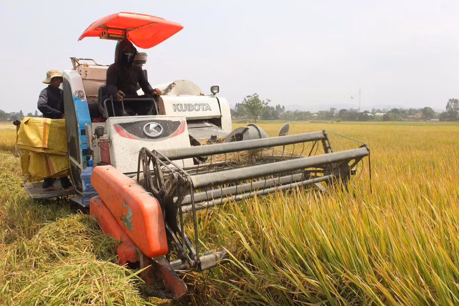 Nhờ tham gia mô hình sản xuất giống lúa đạt chứng nhận VietGAP, nông dân xã Chư Răng có một vụ mùa bội thu. Ảnh: V.C