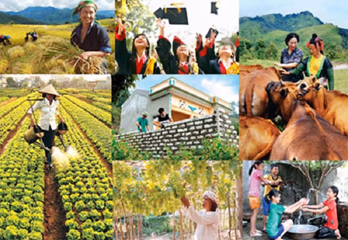 Ảnh minh họa: Internet
